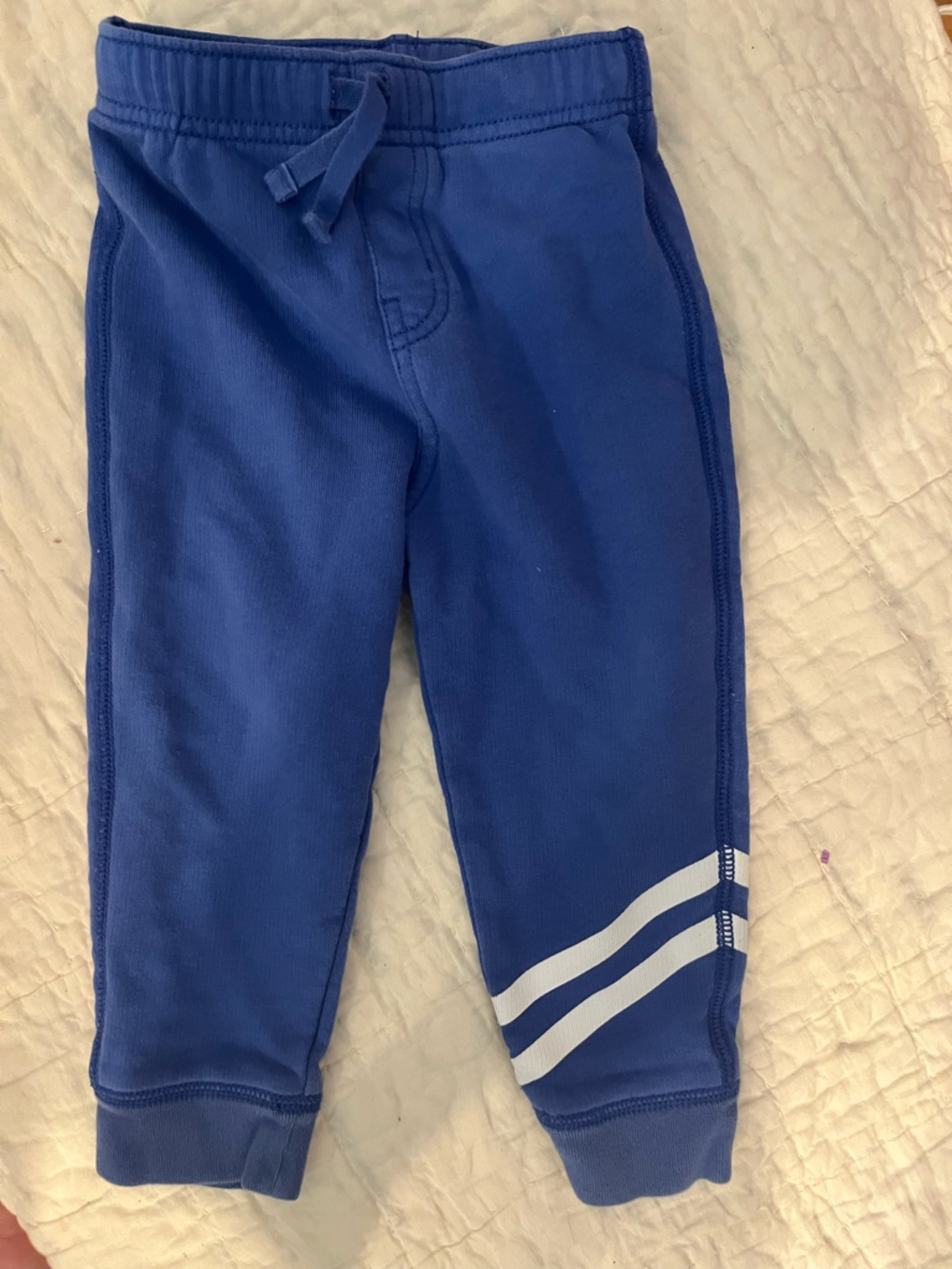Tea collection sweatpants. Size 18-24 months.